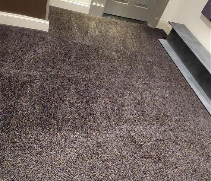 Dirty carpet