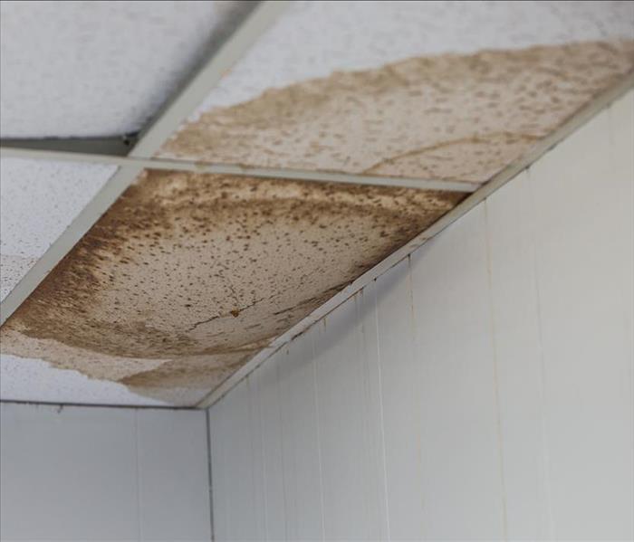 Water Damaged Ceiling Tile 