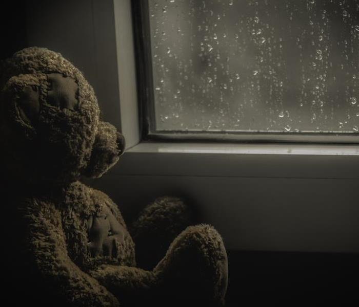teddy bear looking out rainy window