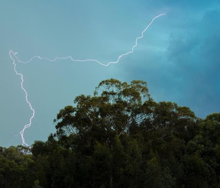 lightning strike over forest